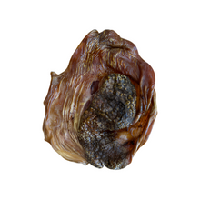 Load image into Gallery viewer, Anco Naturals Ostrich Frisbee on a white background
