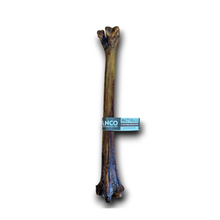 Load image into Gallery viewer, A single long bone-shaped product, likely a decorative bone or pet toy, shown upright on a plain white background with a small blue brand tag wrapped around the middle. The tag reads 'ANCO MATADURAS'.
