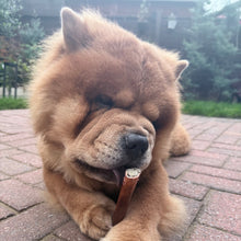 Load image into Gallery viewer, Dog lying on a brick pavement with a relaxed expression
