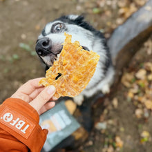 Load image into Gallery viewer, A person's hand in an orange sleeve holds a piece of golden-brown honeycomb dog treat in front of a black and white dog outdoors.
