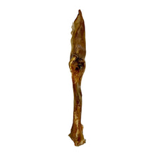 Load image into Gallery viewer, Brown bone on a light blue background
