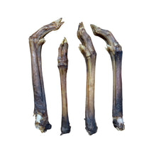 Load image into Gallery viewer, Four deer legs on a white background
