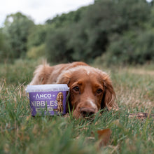 Load image into Gallery viewer, Dog lying on grass with a container of Ancol Nibbles treats
