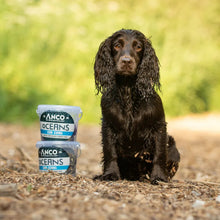 Load image into Gallery viewer, Dog sitting next to two ANCO Oceanics dog food containers on a natural background
