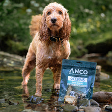 Load image into Gallery viewer, Dog standing in water with an ANCO Oceans product package nearby
