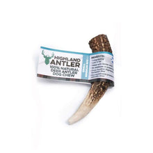 Load image into Gallery viewer, Antos Nova Highland Antler Small
