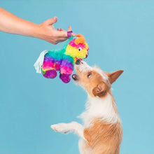 Load image into Gallery viewer, A small tan and white dog stands on its hind legs reaching for a colorful plush toy being held by a person's hand against a solid light blue background.
