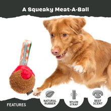 Load image into Gallery viewer, A golden retriever dog is shown next to a plush toy shaped like a beef ball with a colorful nylon strap, on a white background with a dark gray header and feature icons at the bottom.

