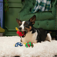 Load image into Gallery viewer, A black, white, and tan dog lies on a white shag rug in front of a green tufted armchair, holding a red Christmas ornament-shaped dog toy in its mouth. Two more dog toys are on the rug in front of it.

