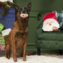 Load image into Gallery viewer, Dog holding a toy in its mouth, sitting on a white rug with a green wall and festive decorations in the background.
