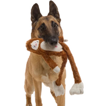 Load image into Gallery viewer, BARK Hairy Henderson
