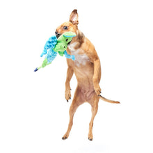 Load image into Gallery viewer, Dog playing with a green and blue toy on a white background
