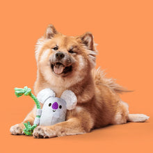 Load image into Gallery viewer, Dog playing with a plush toy on an orange background
