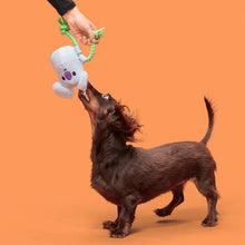 Load image into Gallery viewer, Dog playing with a toy against an orange background
