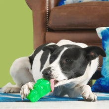 Load image into Gallery viewer, A black and white dog lies on a blue rug chewing on a bright green dog toy in a living room setting with a brown leather armchair in the background.
