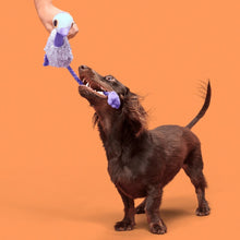 Load image into Gallery viewer, BARK Adelaide Emu
