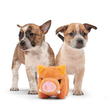 Load image into Gallery viewer, Two puppies standing behind a plush toy on a white background
