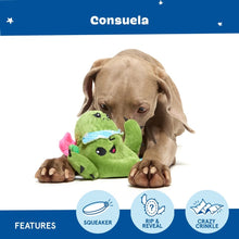 Load image into Gallery viewer, Dog playing with a green plush toy on a white background, featuring Consuela branding.
