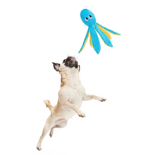 Load image into Gallery viewer, BARK Odd Otto
