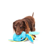 Dog playing with a blue toy on a white background