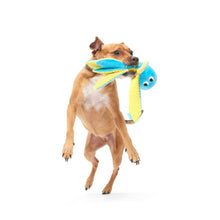 Load image into Gallery viewer, BARK Odd Otto
