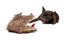 Load image into Gallery viewer, Dog playing with a plush toy resembling a bear on a white background

