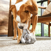 Load image into Gallery viewer, Dog playing with a toy on a carpeted floor
