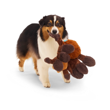 Load image into Gallery viewer, Dog holding a plush spider toy on a white background
