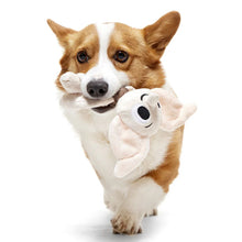 Load image into Gallery viewer, Dog holding a plush toy with a ghost face on a white background
