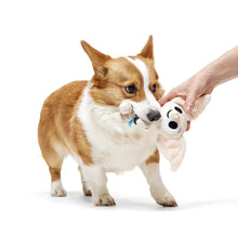 Load image into Gallery viewer, Dog playing with a toy held by a person on a white background
