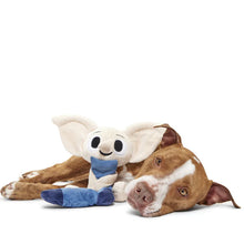 Load image into Gallery viewer, Dog lying next to a plush toy on a white background

