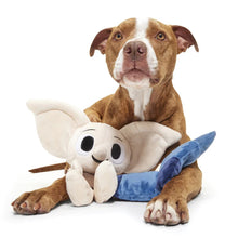 Load image into Gallery viewer, Dog playing with a plush toy on a white background
