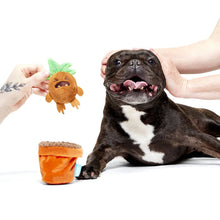 Load image into Gallery viewer, Dog playing with a toy, surrounded by two additional toys on a white background
