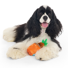 Load image into Gallery viewer, A black and white long-haired dog lies on a white studio background with an orange plush toy shaped like a carrot in front of it.
