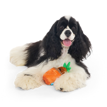 Load image into Gallery viewer, Dog lying on a white background with a plush carrot toy
