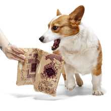 Load image into Gallery viewer, Dog eagerly anticipating a treat from a hand holding a paper bag on a white background
