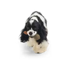 Dog toy resembling a black and white dog holding a bone on a transparent background