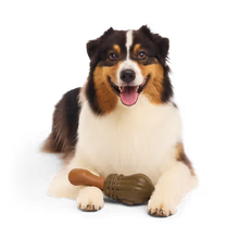 Load image into Gallery viewer, Dog with a wooden chew toy on a transparent background
