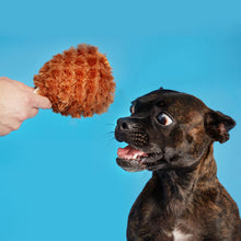 Load image into Gallery viewer, Dog looking at a brown fuzzy toy held by a hand against a blue background
