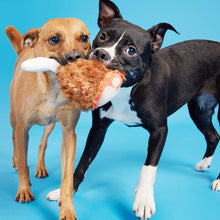 Load image into Gallery viewer, Two dogs playing with a plush toy against a blue background

