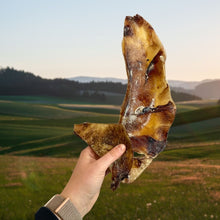 Load image into Gallery viewer, Nova Beef Cartilage Moon Bone - 1kg
