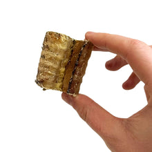 Load image into Gallery viewer, Hand holding a piece of dried fish on a white background
