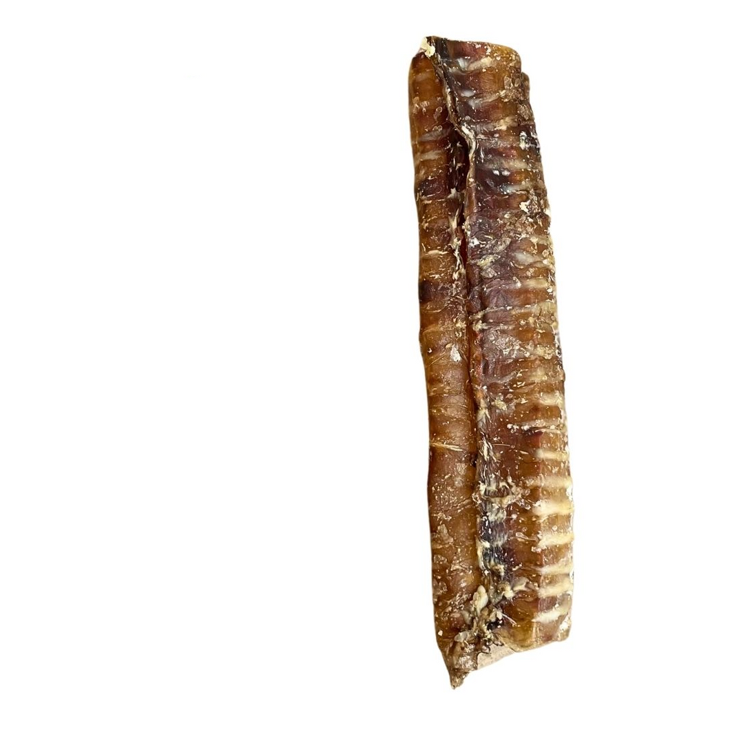 Beef Trachea Moo Tube 20cm