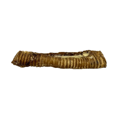 Brown beef trachea on a white background