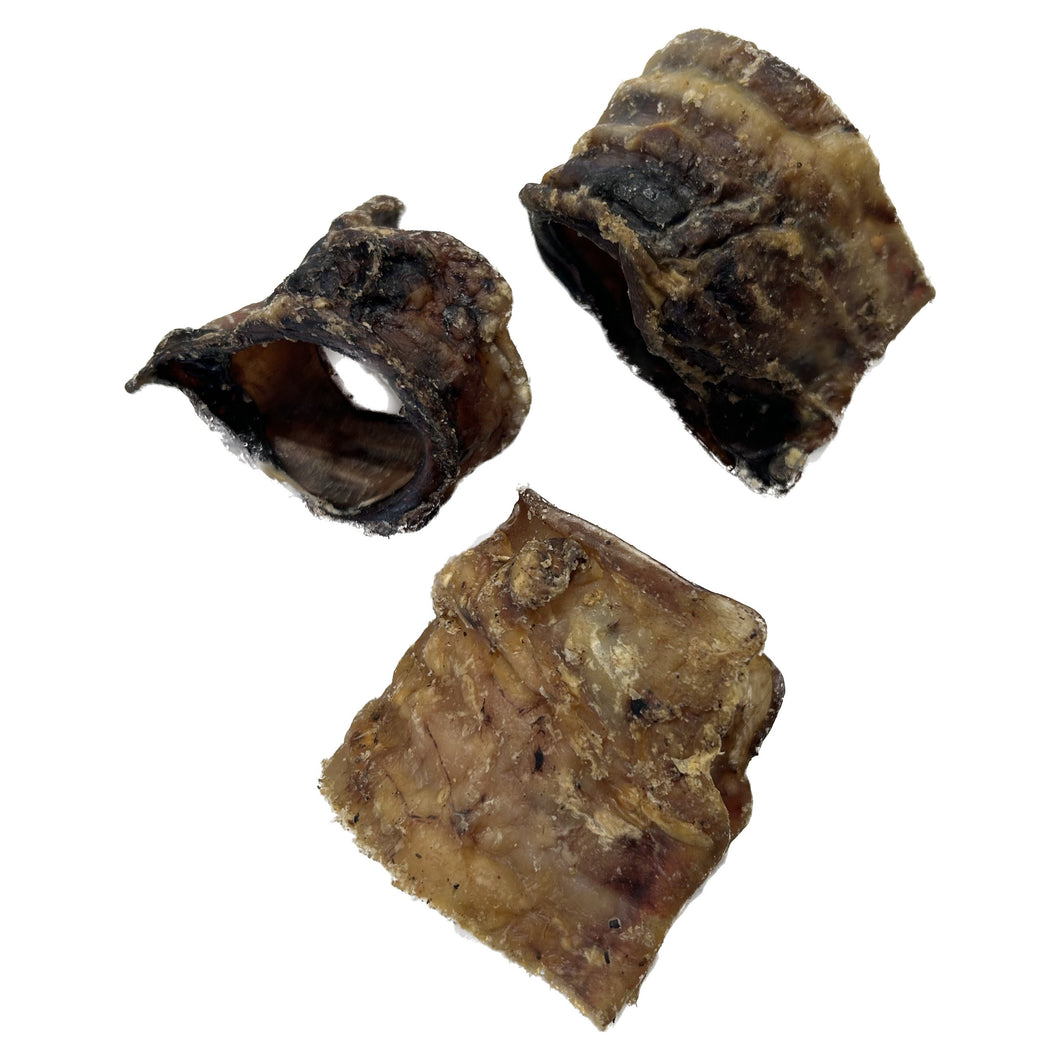 Three brownish Beef Trachea Moo Tube Pieces  on a white background