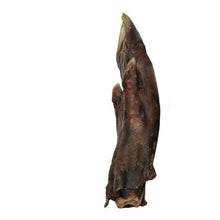 Load image into Gallery viewer, Nova Paddock Farm Wild Boar Trotter
