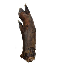 Load image into Gallery viewer, Nova Wild Boar Trotter
