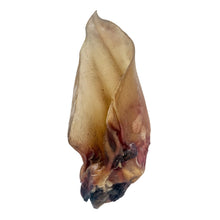 Load image into Gallery viewer, Brown buffalo ear on a white background
