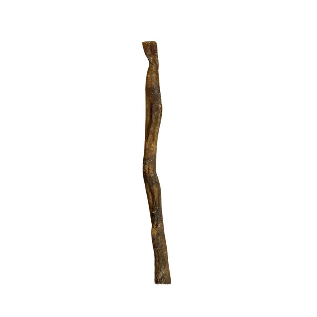 Nova Buffalo Pizzle 24cm