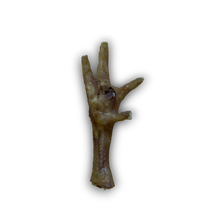 Load image into Gallery viewer, Chicken Feet on a white background
